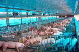 禁 限 转 治 农业部最新生猪养殖环保政策解读