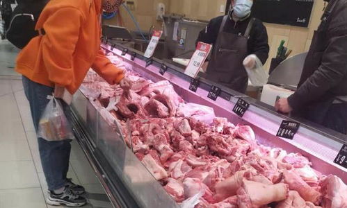 猪肉价格不坚挺, 养猪大王 未能幸免,利润降至65亿大跌70